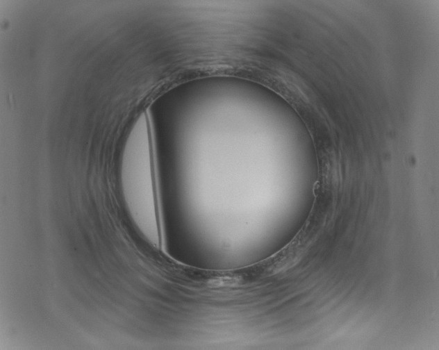 X0000072990700200607211031