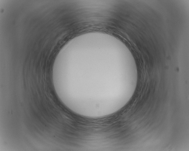 X0000072990701200607211031