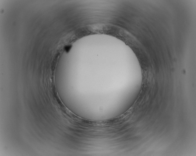 X0000072990702200607211031