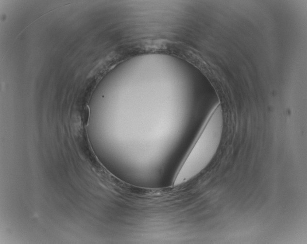 X0000072990704200607211031