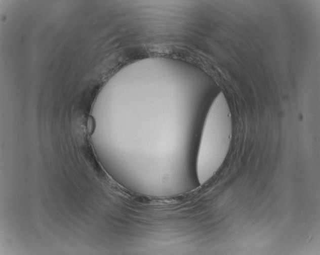 X0000072990707200607211031