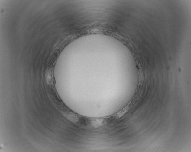 X0000072990709200607211031