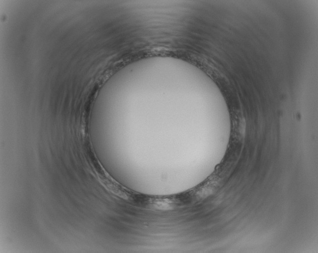 X0000072990710200607211031