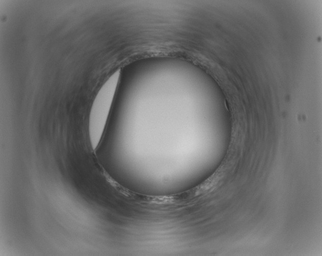 X0000072990720200607211031