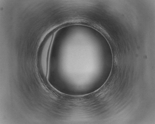 X0000072990724200607211030
