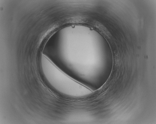 X0000072990727200607211030