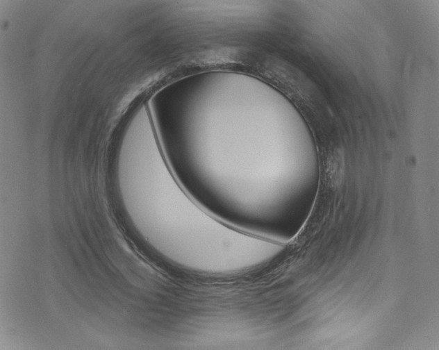X0000072990732200607211030