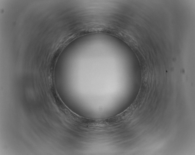 X0000072990743200607211030
