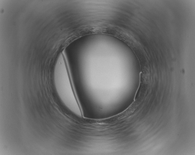 X0000072990748200607211030