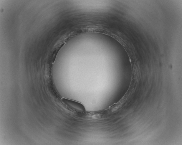 X0000072990760200607211031