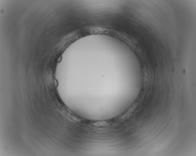 X0000072990761200607211031