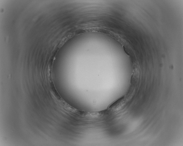 X0000072990767200607211031