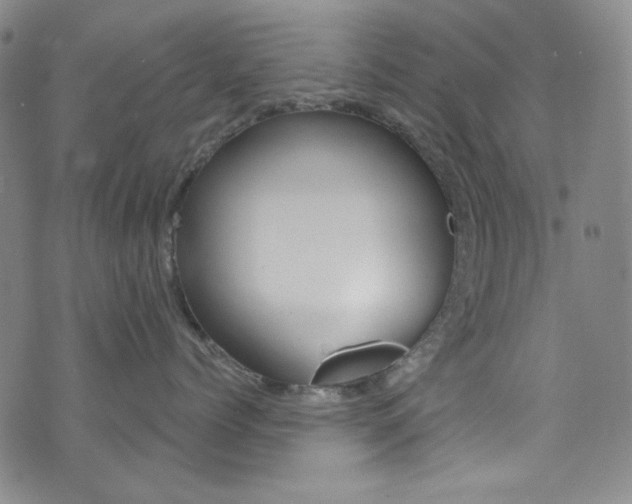 X0000072990768200607211031