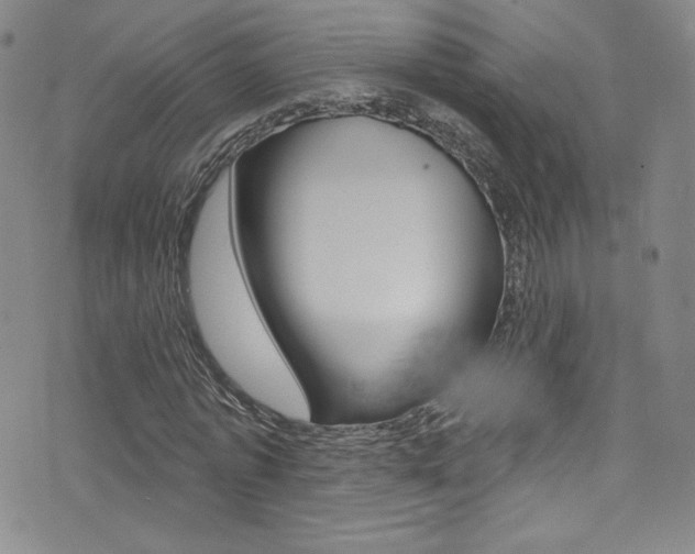 X0000072990773200607211030