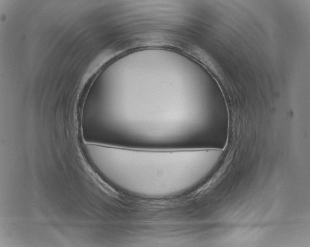 X0000072990787200607211030