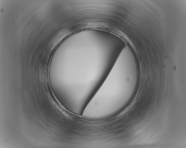 X0000072990794200607211029