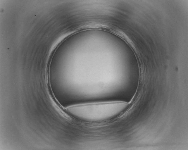 X0000072990795200607211029