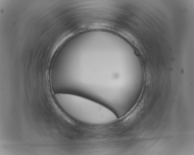 X0000072990798200607211029