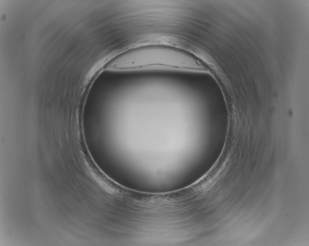 X0000072990842200607211029