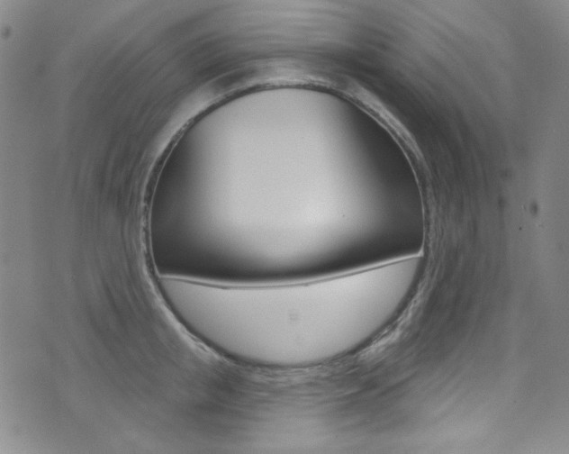 X0000072990853200607211029