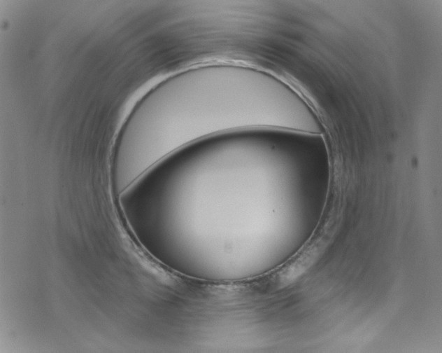 X0000072990854200607211029