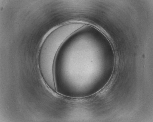 X0000072990862200607211029