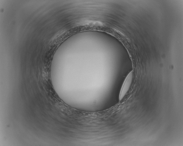 X0000072990869200607211028