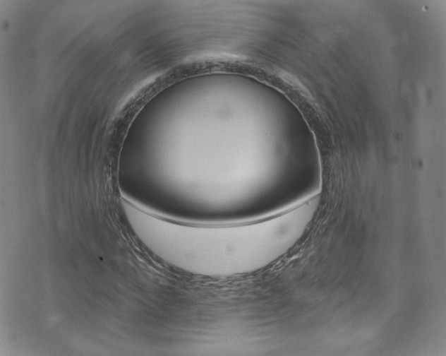 X0000072990872200607211028