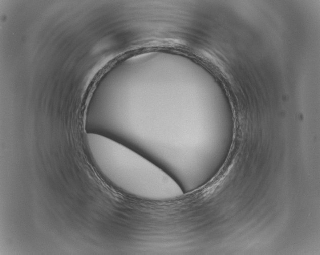 X0000072990875200607211028