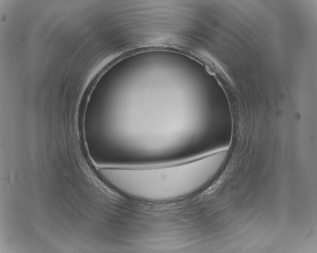 X0000072990884200607211028