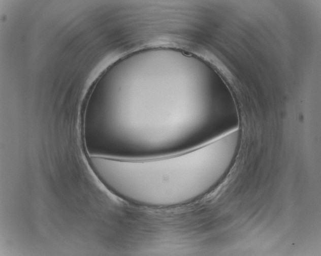 X0000072990902200607211028