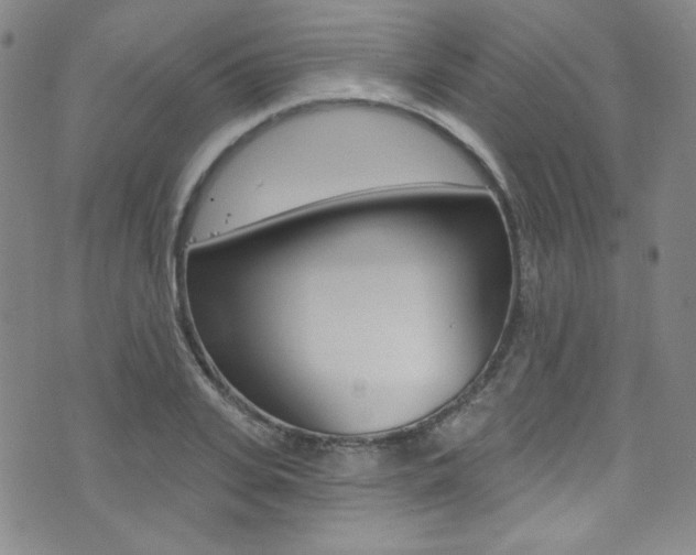X0000072990935200607211027