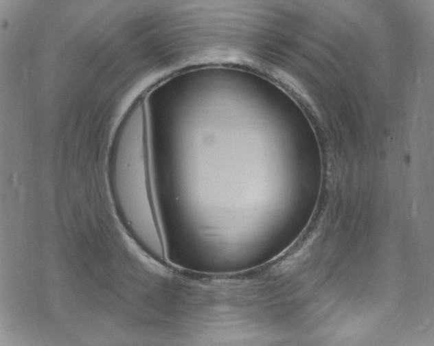 X0000072990942200607211027
