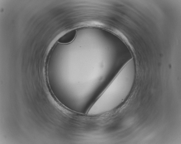 X0000072990947200607211027