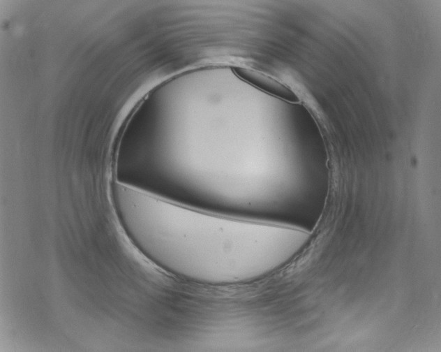 X0000072990955200607211027