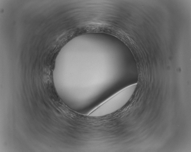 X0000072990964200607211027