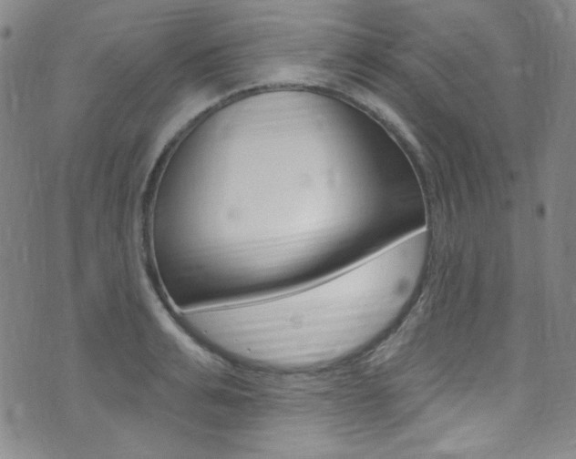 X0000072990991200607211026