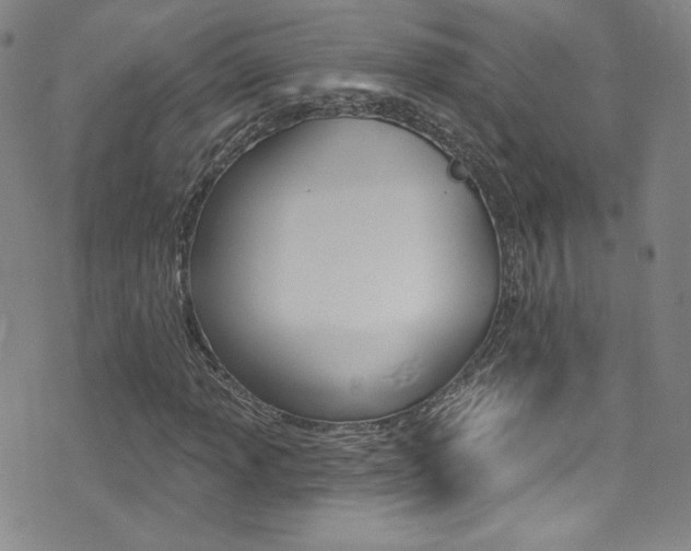 X0000072991013200607211025