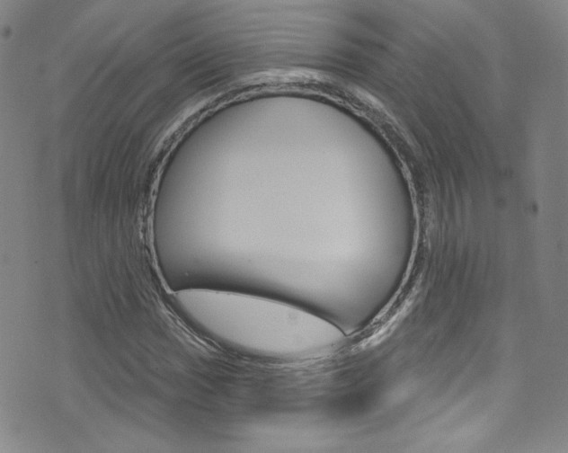 X0000072991017200607211025