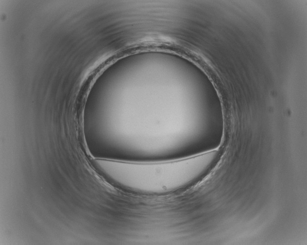 X0000072991018200607211025