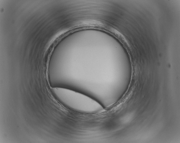 X0000072991019200607211025