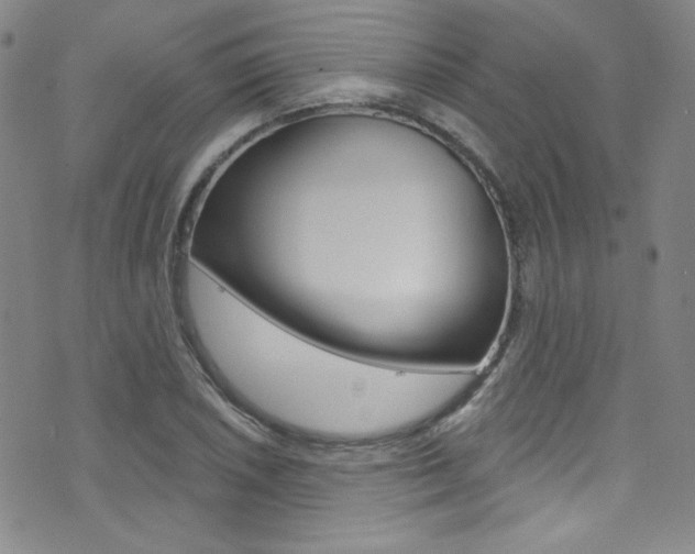 X0000072991026200607211025