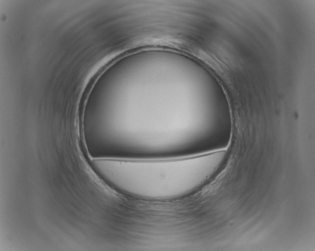 X0000072991028200607211026