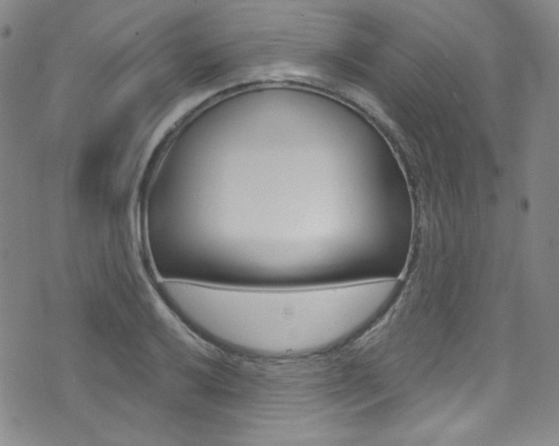X0000072991032200607211026