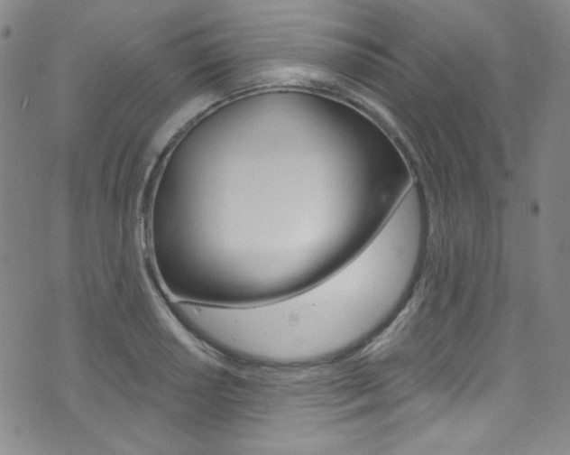 X0000072991034200607211026