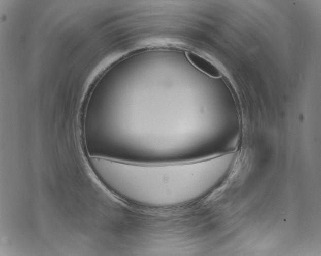 X0000072991045200607211026