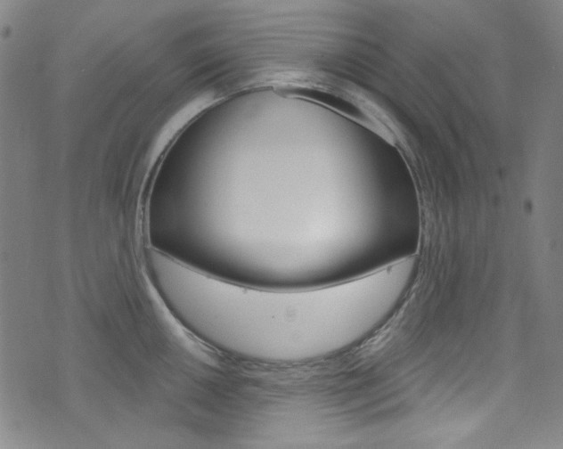 X0000072991050200607211026