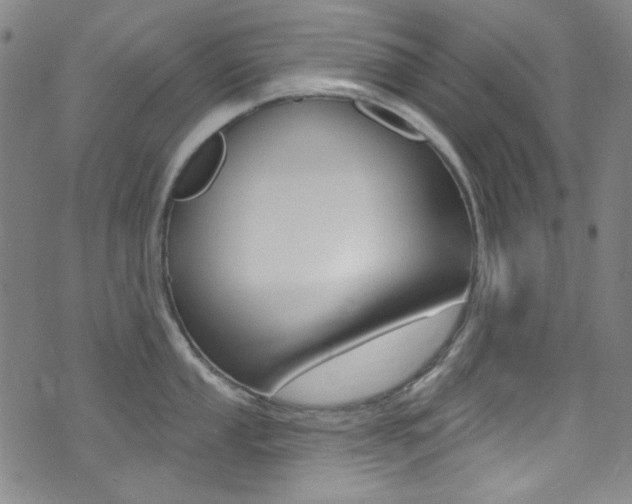 X0000072991053200607211026