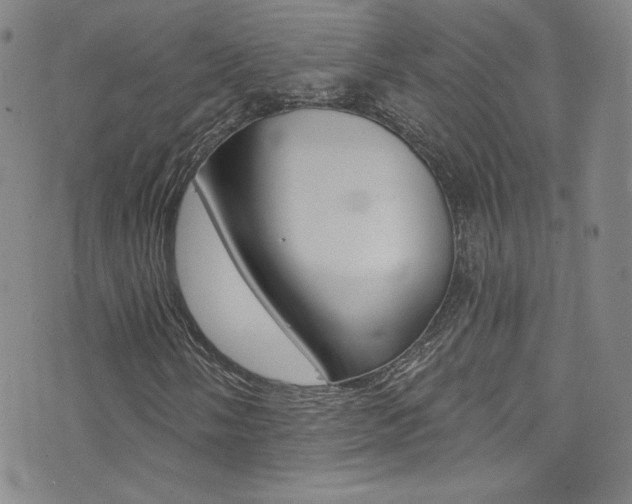 X0000072991058200607211025