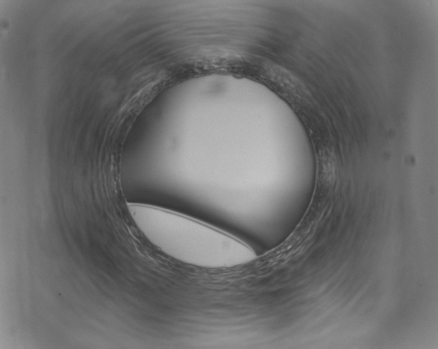 X0000072991060200607211025